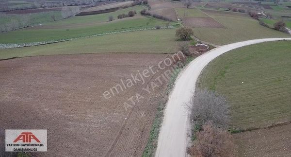 Bursa Yenişehirde Köye,oto Yola Yakın Kadastrol Yollu Arazi
