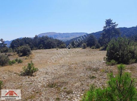 Ata Yatırımdan Bolu Mudurnu Dereköyde 2117 M2 Arazi