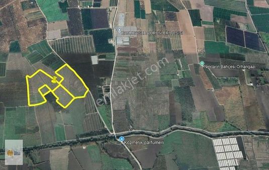 The World Seller'den Çeltikçide Yatırımlık Arazi
