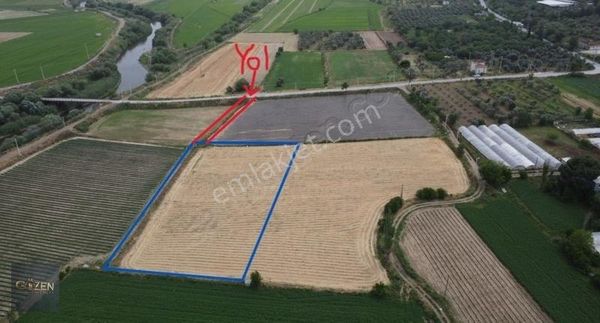 Aydın Efelerde Tek Tapu 4300 M2 Bahçe Vasıflı Arazi