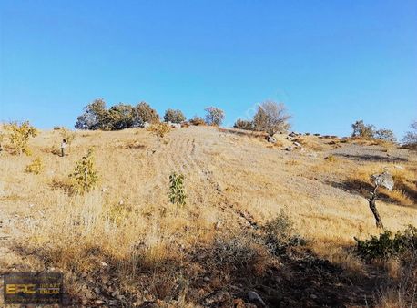 Orucpınarda Satılık 2.168 M² Tarla