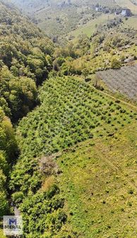 Meral Yapı&gayrimenkulden Satılık Parseller