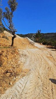 Torbalı Dirmilde Köye Yakin 516 M2 Tapulu Tarla