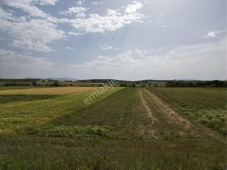 Beyaz Gayrımenkulden Tilki Sülamanlı Mh 2,230 M2 Tarla