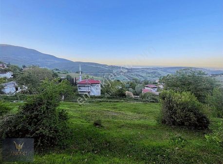 Samsun Atakum Akalanda Satılık 1.374,83 M2 İmarlı Arsa