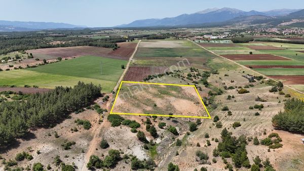 Acıpayam Akalan Mahallesi, 8.700 M² Arazi