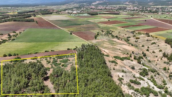 Acıpayam Akalan Mahallesi, 10.604 M² Arazi