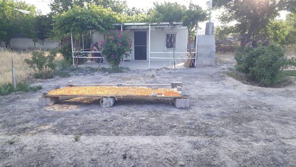 Erkilet Çay Tarladaevli Satılık Bağ