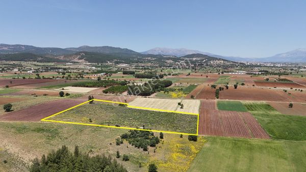 Acıpayam Akalan Mahallesi, 11.738 M², Köy Merkezine Çok Yakın