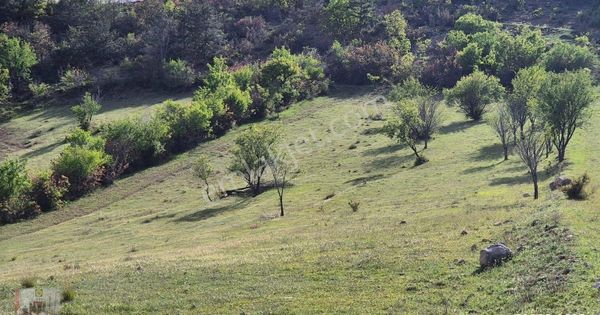 Beybağı Mahallesinde Çevre Yoluna Yakın Hakim Konumda 5387 M² Tarla