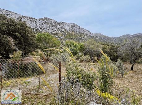 Bulut Emlak Söğüt Bahçelide Yatırımlık 169 M2 Satılık Tarla