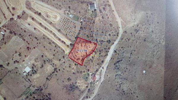 Baraja Yakın Çevil Mahallesinde Uygun Fiyatlı Satılık Bağ/bahçe