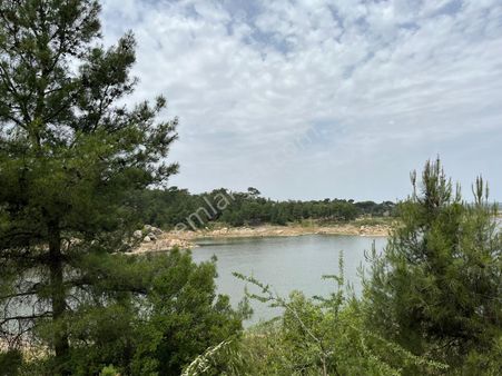 Muğla Milas'ta, Tiny House & Hobi Bahçesi İçin İdeal — 317 M²