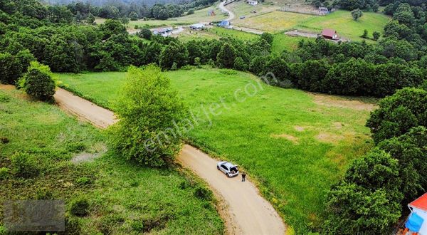 Çanakkale Biga Akkayrak Köyün'de Satılık_ Tarlamız