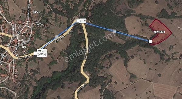 Acil Satılık Kepsut Tuzak Köyün De Yatırımlık Fırsat Arazi