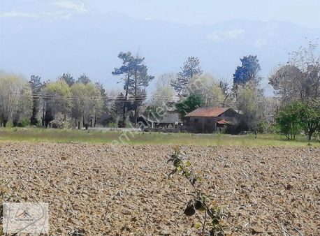 Evlere İmar Sınırına Yakın Yolu Mevcut Satılık Arazi