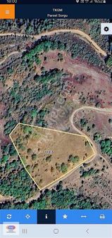 Tek İşim Gayrimenkulden Soğukdere Mahallesinde Tarla!