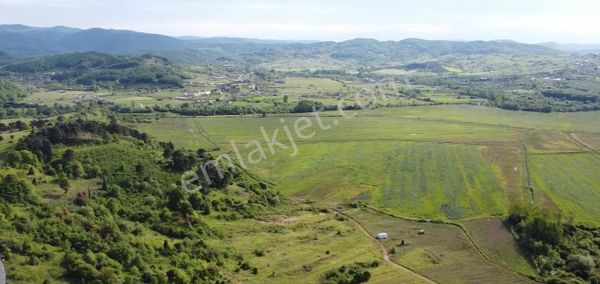 Remax Ahmet'ten Satılık Tarla 2736 M2 Şile/ağva Mah