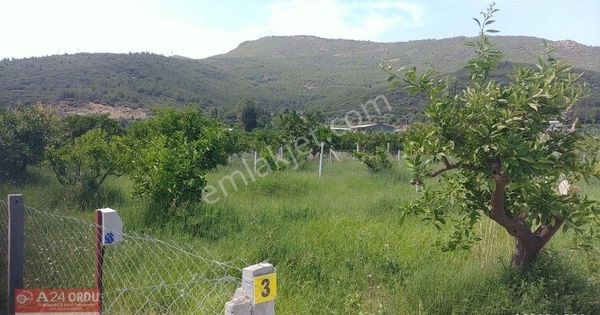 Gümüldürde Denize 700 M,elektrik Ve Suyu Bulunan Tapulu Parsel.