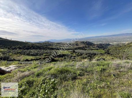 Salihli Allahdiyende Fırsat Tarla