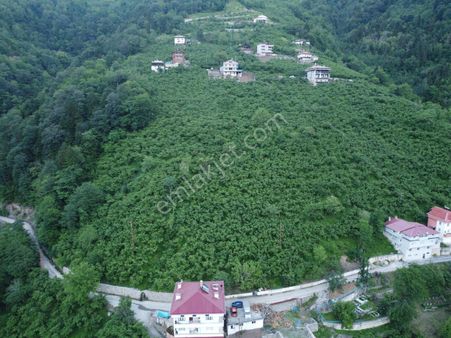 Yalı Gayrimenkul'den Çaykara Uzungöl Yolu Üzerinde 2700 M2 Arsa