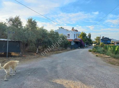 Fethiye Kargı'da Müstakil Dubleks