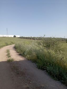 Alyans Emlak'tan Satılık Arsa