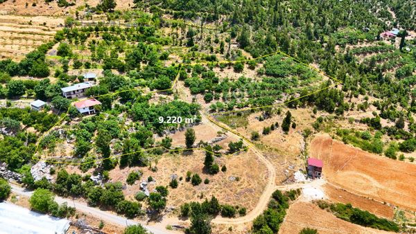 Satılık 9.220 M² 15 Yaşında Ceviz Bahçesi Ve 1+1 90 M² Ev