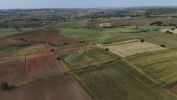 Ege Emlak'tan Küçük Doğanca'da Satılık Tarla