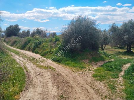 Duru Emlak'tan Satılık