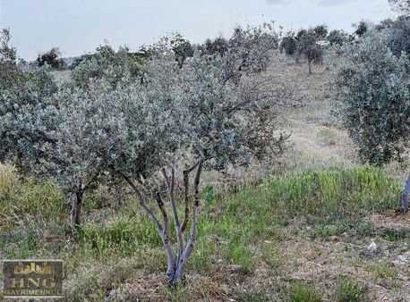 Batalda Tek Tapu Satlık Arazi