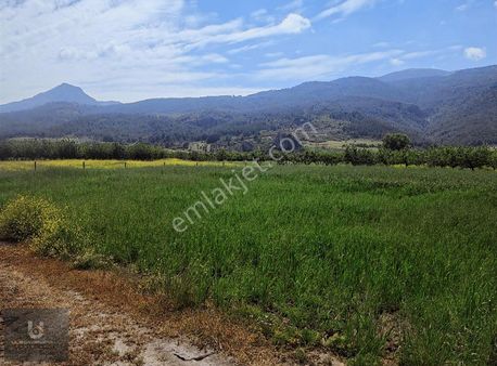 Uls Gayrimenkul'den Geyve Kozan İlçesi Satılık Hobi Bahçesi