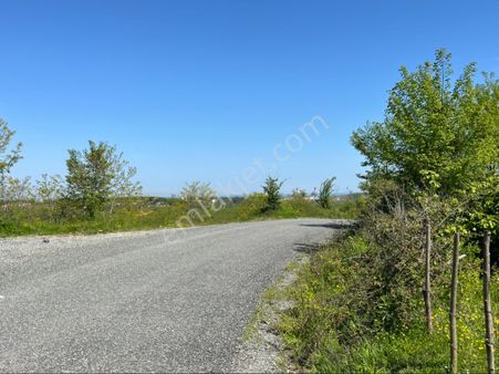 Ata’dan Fırsat Niteliğinde 11 Dönüm Fındıklık