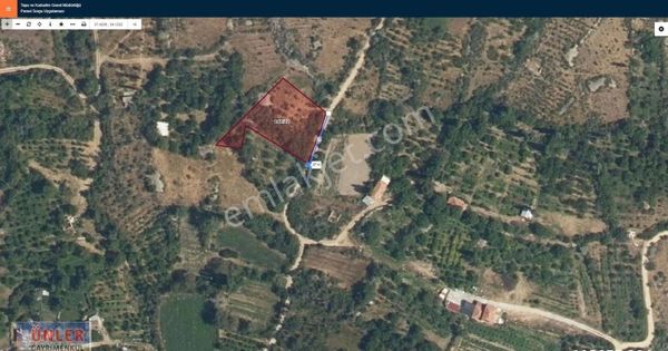 Ereğli Büyükdede 1973 Metrekare Tek Tapulu Bahçemiz