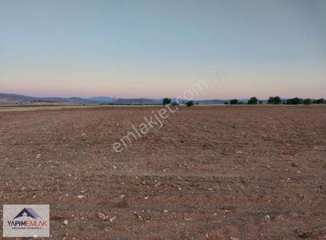 Merkez Sün Köyünde Manzaralı Konumda Satılık Tarla