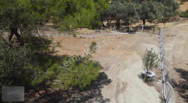 Ambarcı'dan Yelkide Masrafsız Yatırımlık Tarla