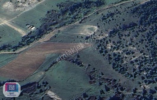 Güzel Konumlu 14.823 M2 | D020 Ve Yeni Y. Duble Yol Ortasında