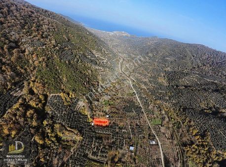 Detay Emlaktan Ballıpınar Mahallesinde Satılık 256m2 Bahçe !