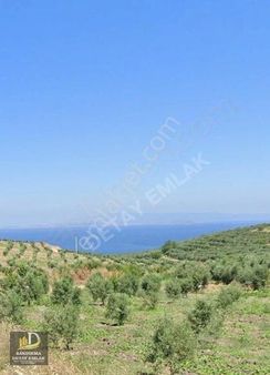 Detay Emlaktan Şirin Çavuş Mahallesinde Satılık 4501m2 Tarla !