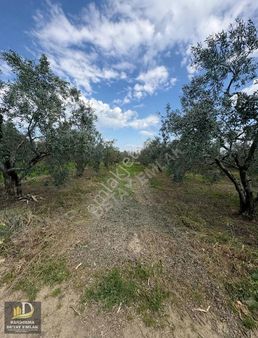 Detay Emlaktan Doğa Mahallesinde Satılık 840m² Tarla!