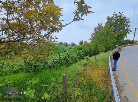 Çaybaşı Yeniköyde Muhteşem Konumda Satılık Fındık Bahçesi