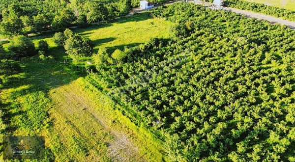 Sinerji Grup Erkan Köstereli'den Balıklı İhsaniye'de 2,666m2arsa