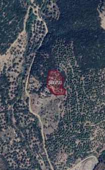 İzmir Ödemiş Gölcük Te Satılık Zeytin Bahçesi