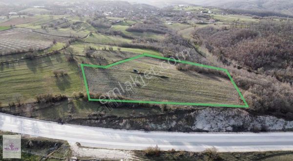 Bulgaristan Duble Yola Cepheli Satılık Tarla