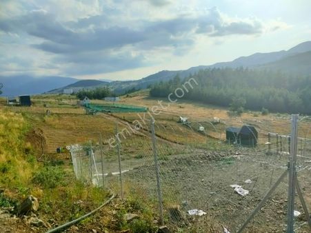 Fırsat Kapınızda...kestel Ağlaşanda Suyu İçinde,doğa İle İç İçe Hobi Bahçesi.