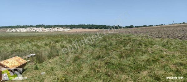 Zeymak Yapı Dan Bilecik Te 22 Dönüm Müstakil Tapulu Arazi