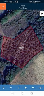 Kandıra Ömerli'de 3306 M2 Fındık Bahçesi