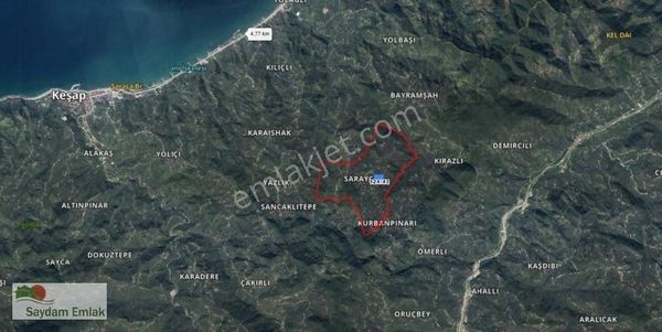 Giresun Keşap İşçesi Saraycık Köyünde Satılık Fındık Bahçesi