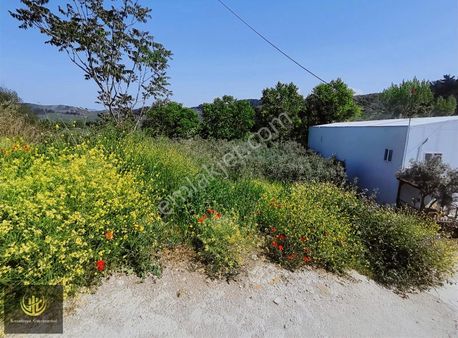 Fırsat! Işıklı Asfaltına Cephe Arazi