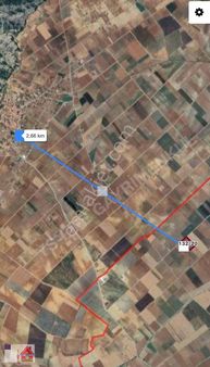 Tavas Antınova Da 14 Dönüm Cevizlik